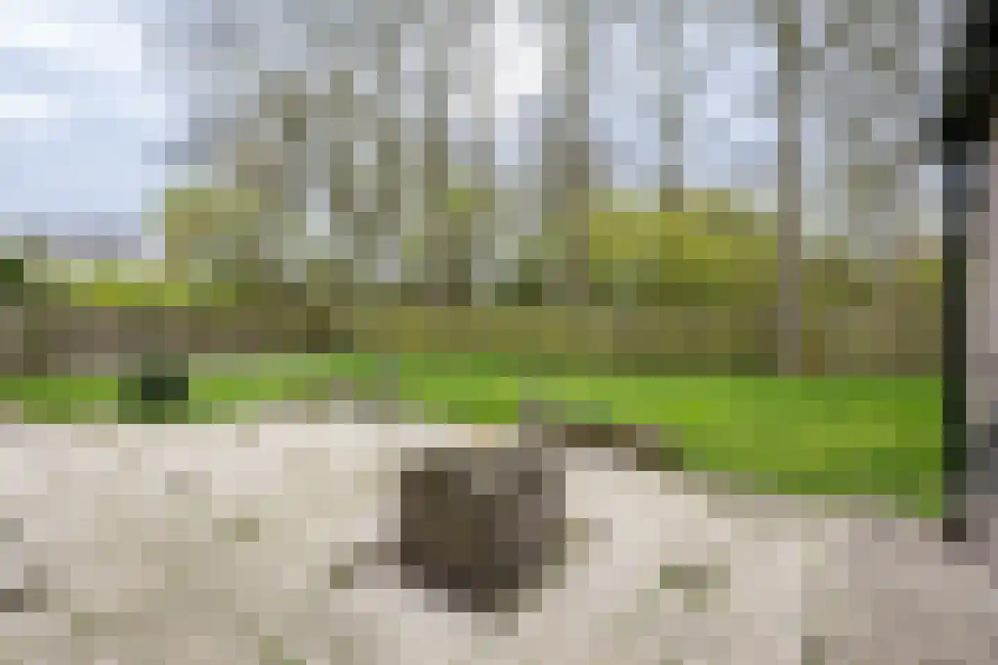 Steneweg 4 Middelharnis thumbnail 23