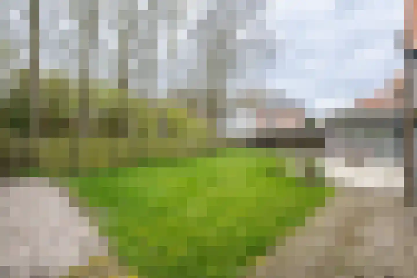 Steneweg 4 Middelharnis thumbnail 24