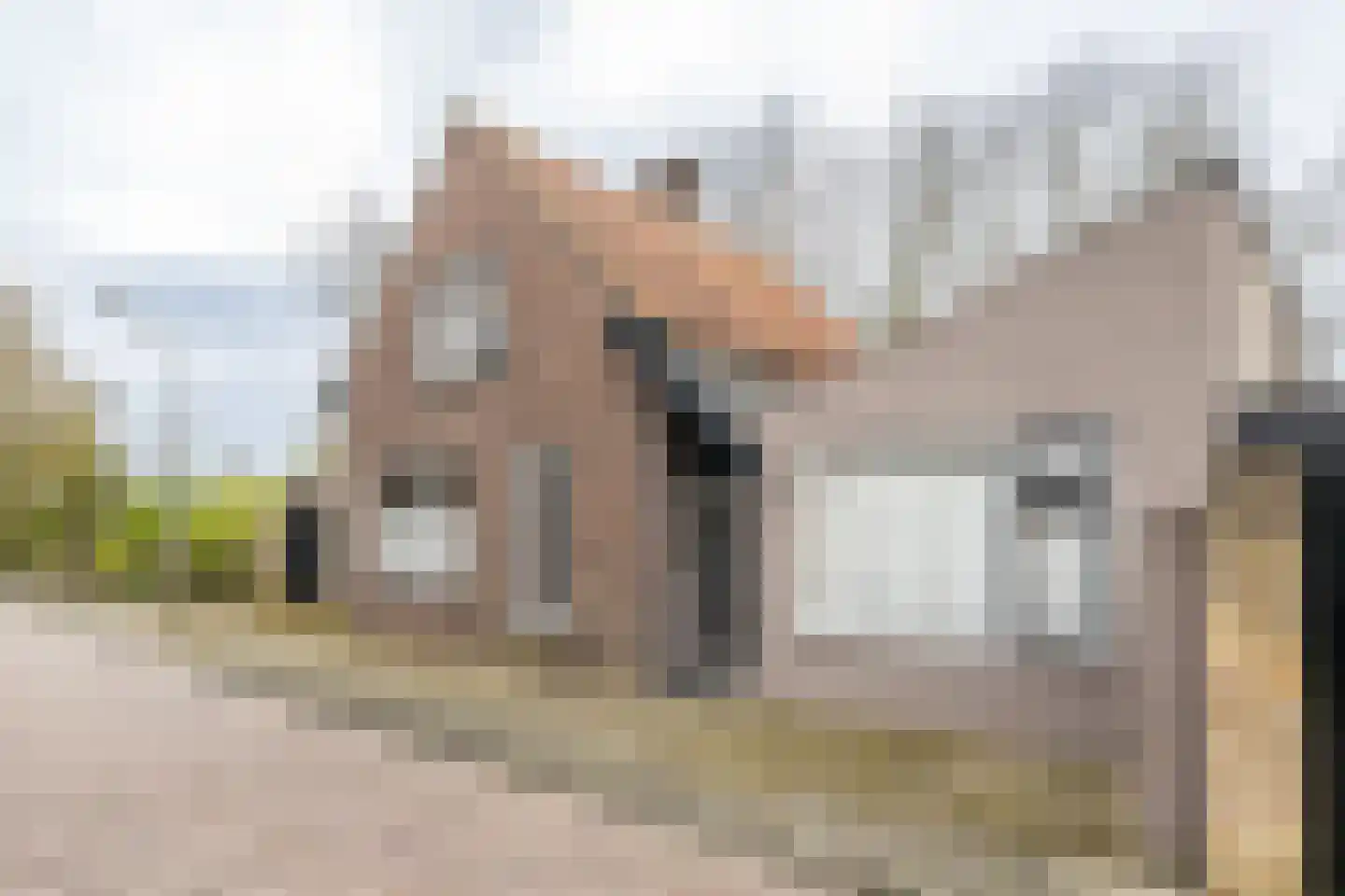 Steneweg 4 Middelharnis thumbnail 26
