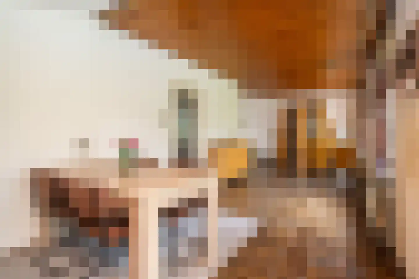 Steneweg 4 Middelharnis thumbnail 6