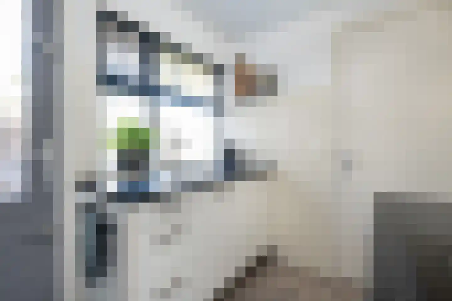 Steneweg 55 Middelharnis thumbnail 12