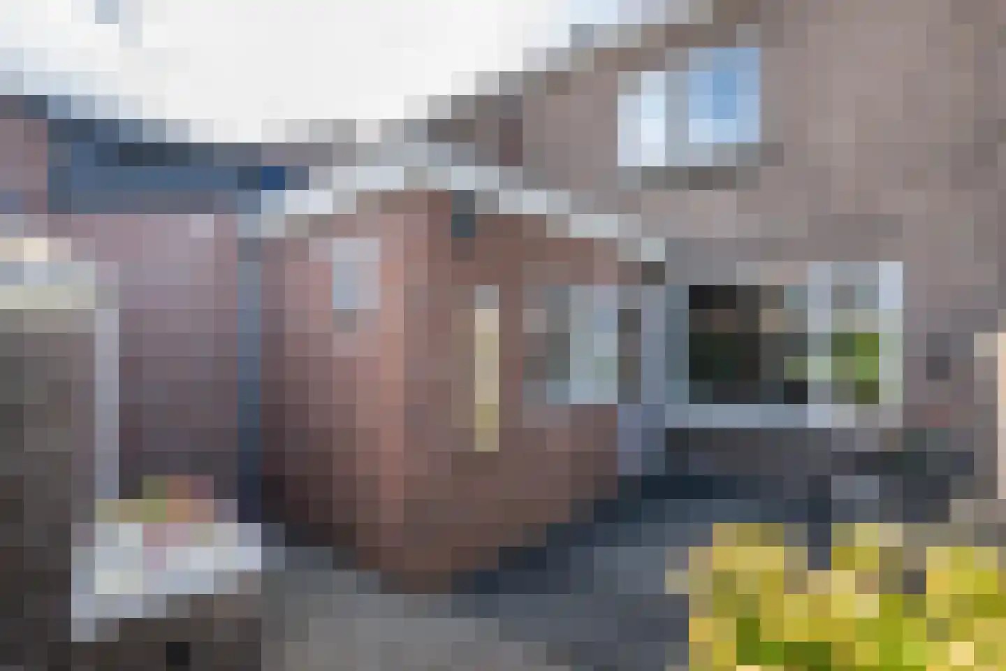 Steneweg 55 Middelharnis thumbnail 29