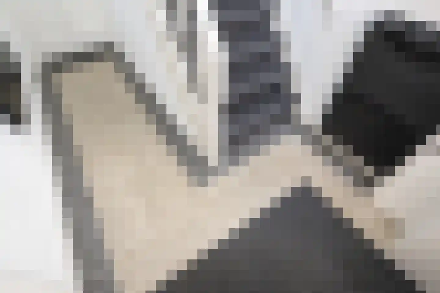 Steneweg 55 Middelharnis thumbnail 6