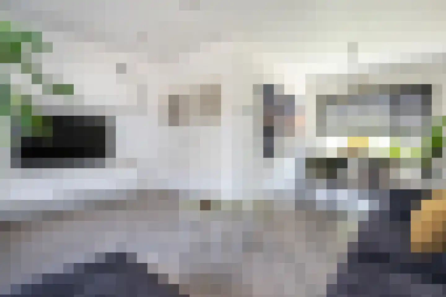 Steneweg 55 Middelharnis thumbnail 8