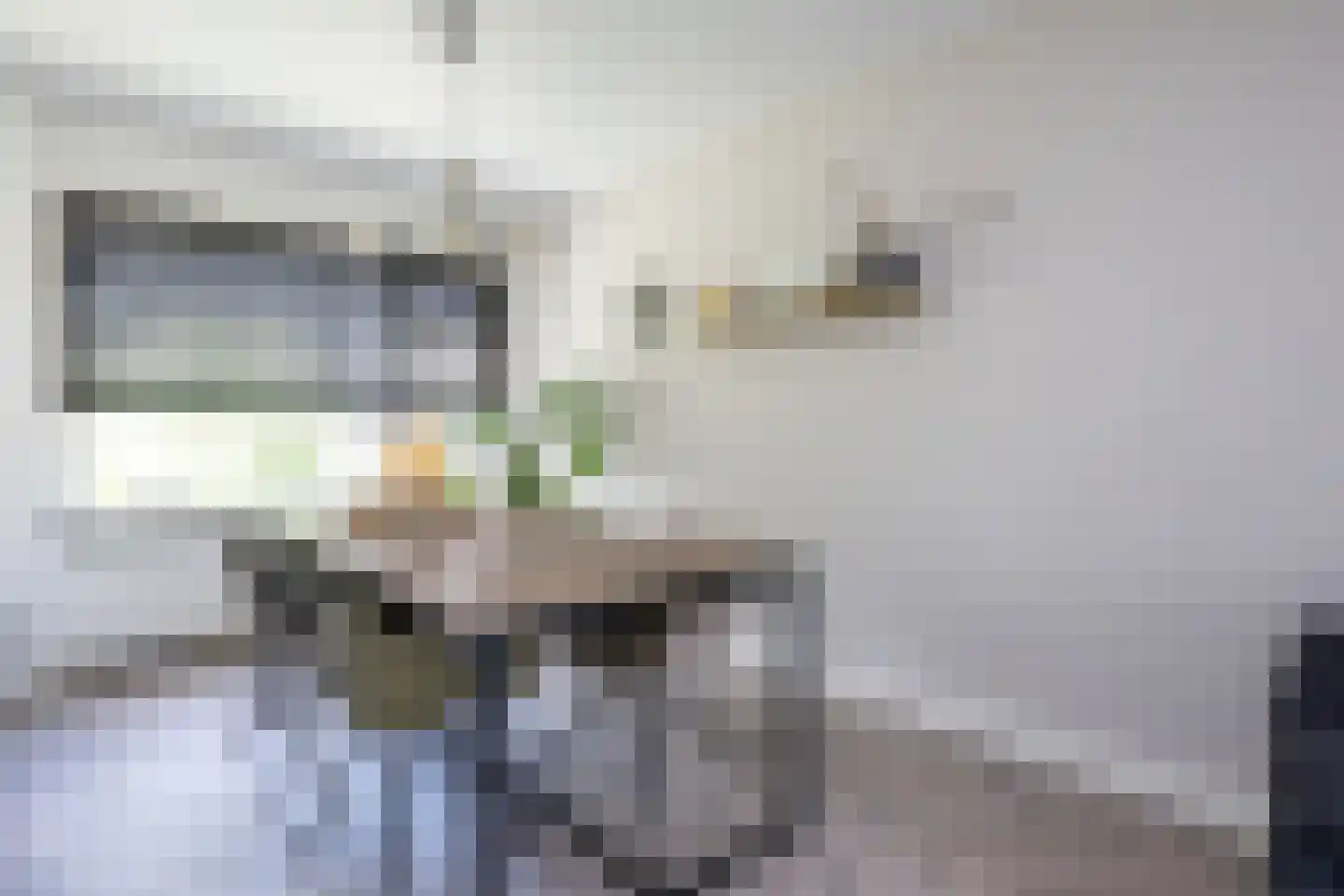 Steneweg 55 Middelharnis thumbnail 9