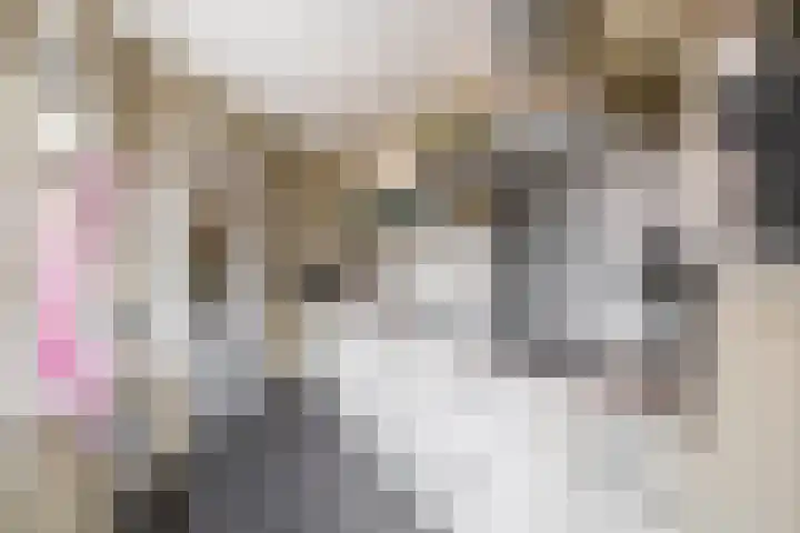 Steneweg 78 Middelharnis thumbnail 15