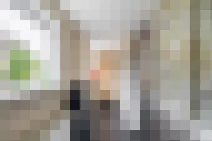 Steneweg 78 Middelharnis thumbnail 17