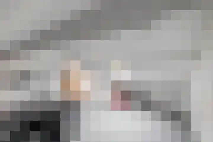 Steneweg 78 Middelharnis thumbnail 32