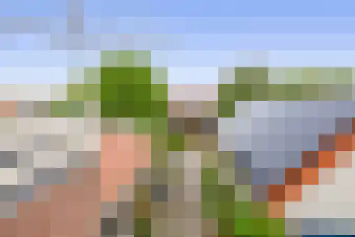 Steneweg 78 Middelharnis thumbnail 33