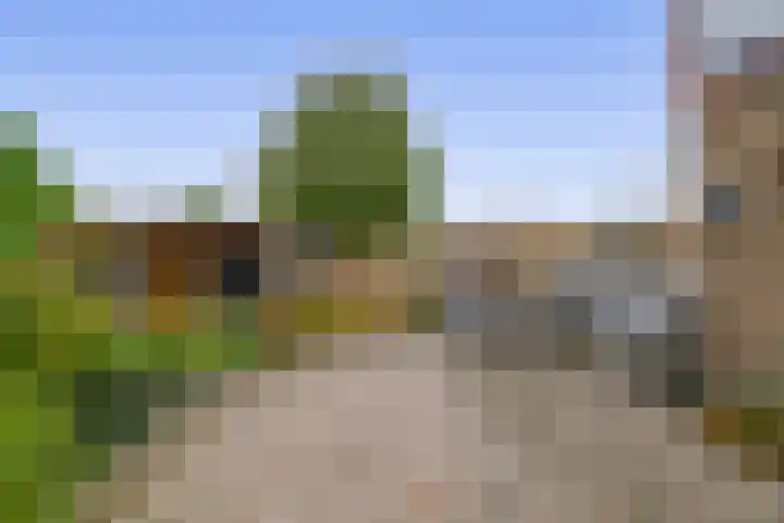Steneweg 78 Middelharnis thumbnail 37