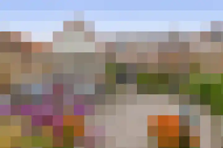 Steneweg 78 Middelharnis thumbnail 39