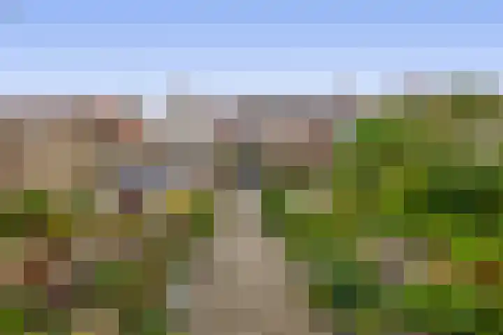 Steneweg 78 Middelharnis thumbnail 41