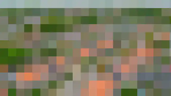Steneweg 78 Middelharnis thumbnail 45
