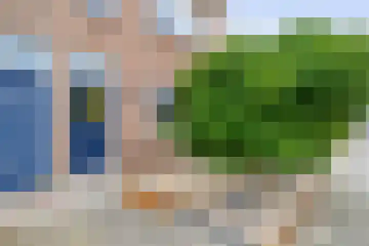 Steneweg 78 Middelharnis thumbnail 5
