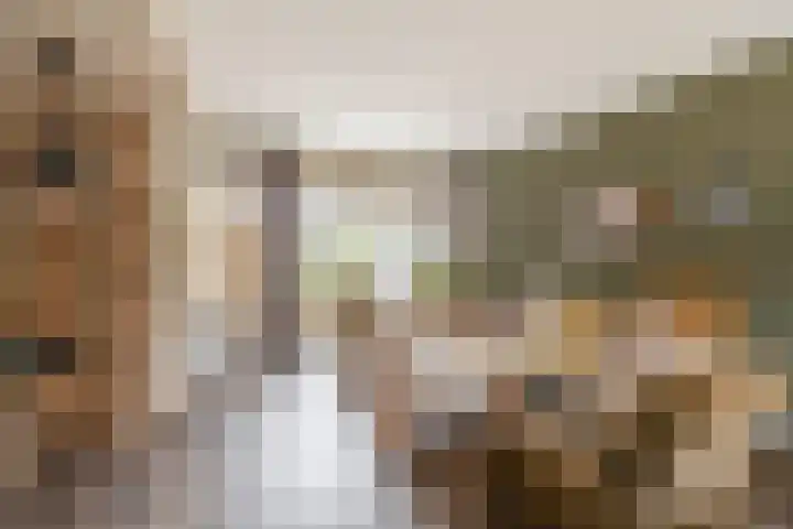 Steneweg 78 Middelharnis thumbnail 7