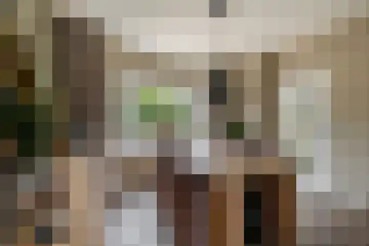Steneweg 78 Middelharnis thumbnail 9