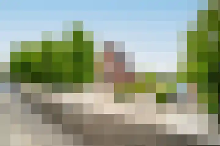 Steneweg 81 Middelharnis thumbnail 45