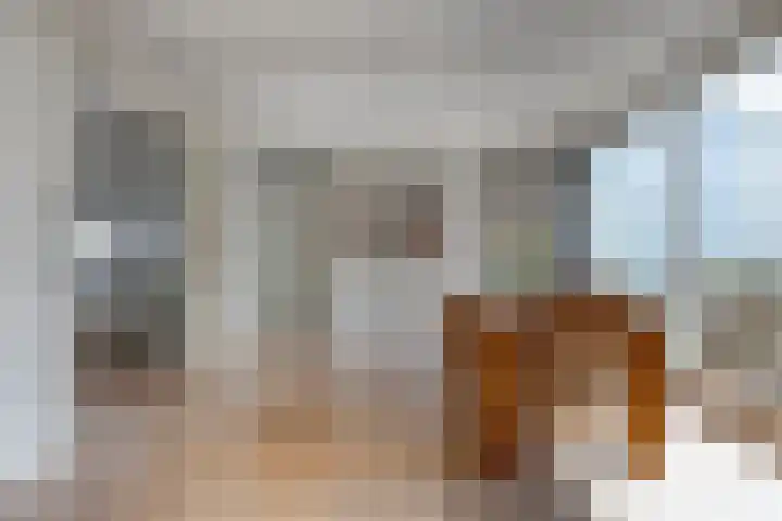 Steneweg 86 Middelharnis thumbnail 13