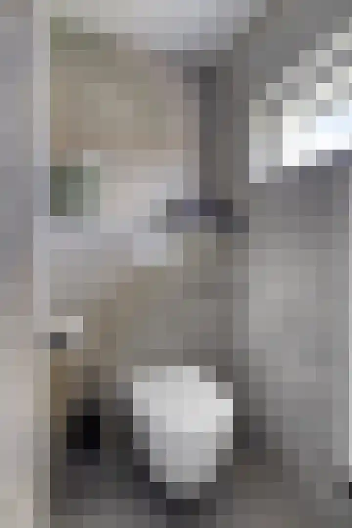 Steneweg 86 Middelharnis thumbnail 20