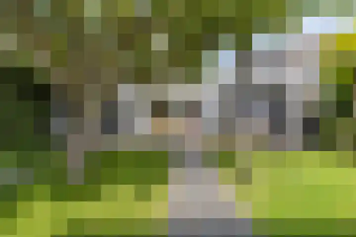 Steneweg 86 Middelharnis thumbnail 5