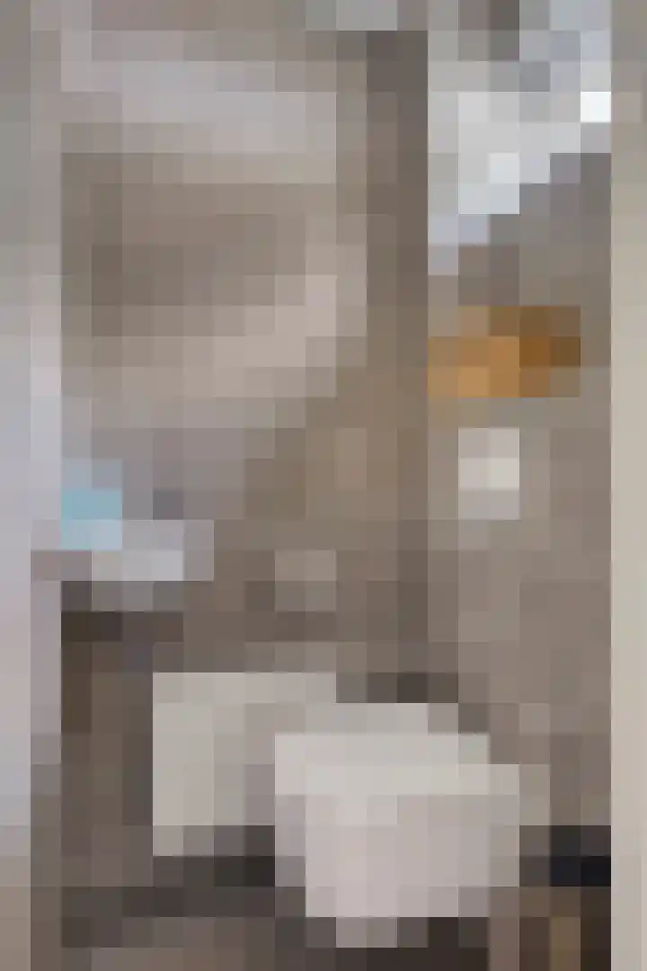 Steneweg 86 Middelharnis thumbnail 8