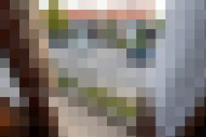 Steneweg 96 Middelharnis thumbnail 16