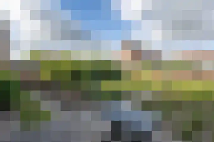 Steneweg 96 Middelharnis thumbnail 20