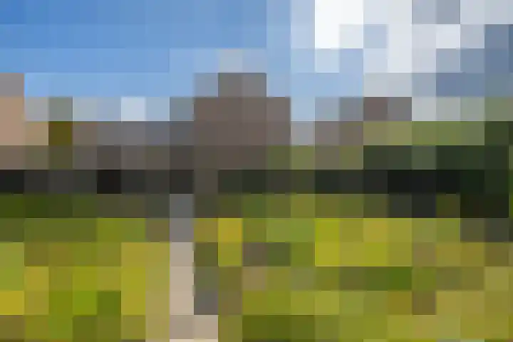 Steneweg 96 Middelharnis thumbnail 22