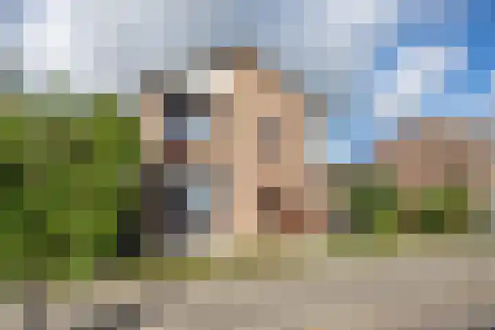 Steneweg 96 Middelharnis thumbnail 4