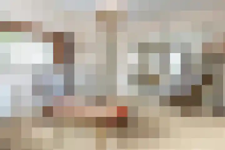 Steneweg 96 Middelharnis thumbnail 6