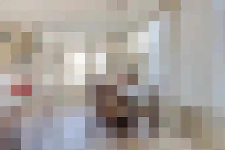 Stenge 27 Yerseke thumbnail 13