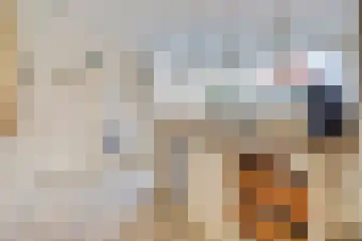 Stenge 27 Yerseke thumbnail 17