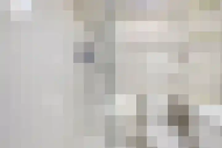Stenge 27 Yerseke thumbnail 28