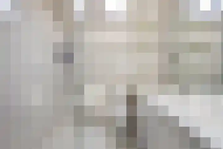 Stenge 27 Yerseke thumbnail 29