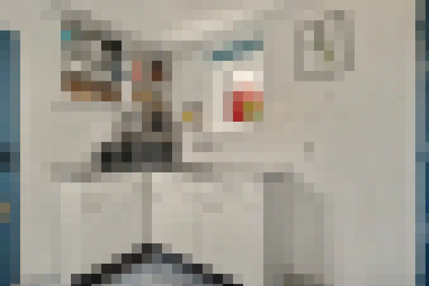 Stenge 7 Yerseke thumbnail 12