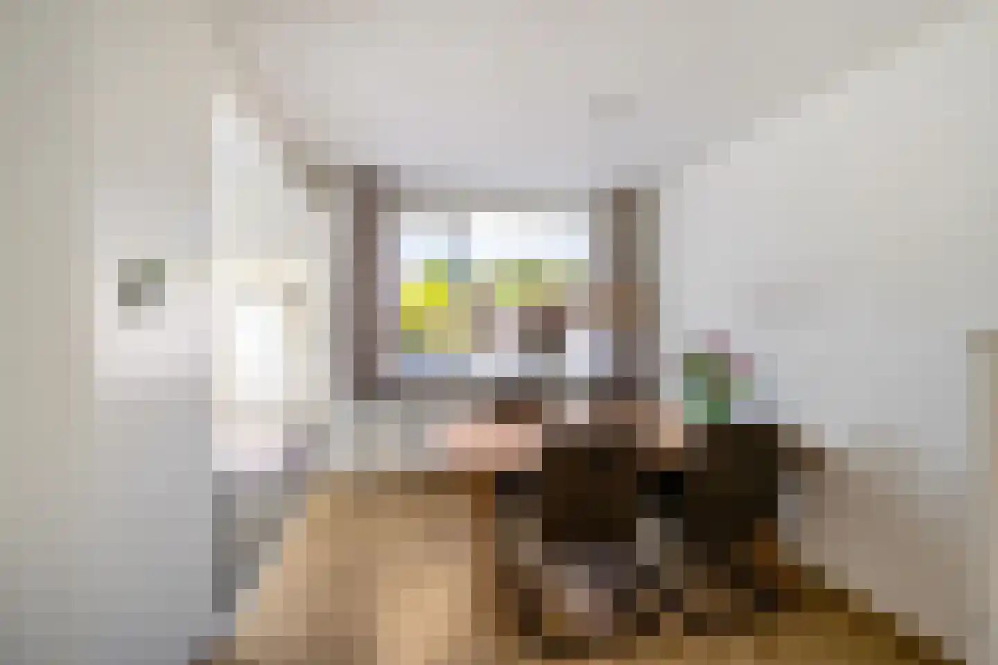 Stengelinstraat 5 Hooghalen thumbnail 16