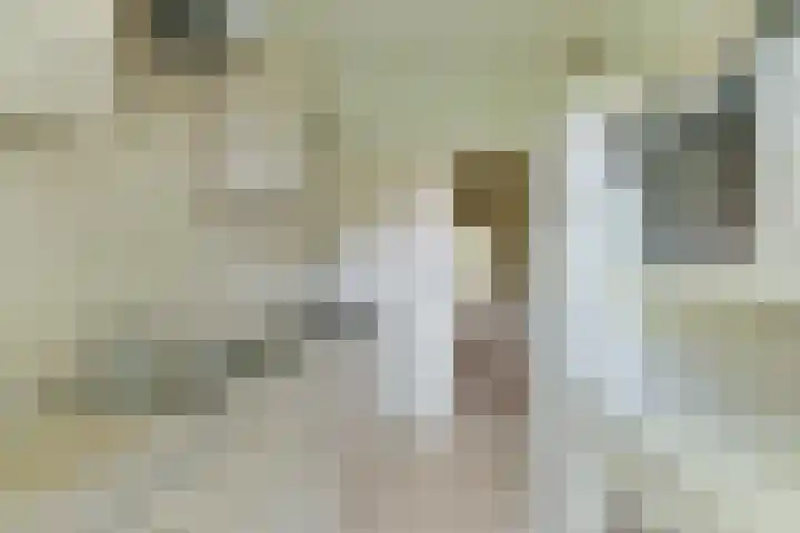 Steniahof 121 Zeist thumbnail 17
