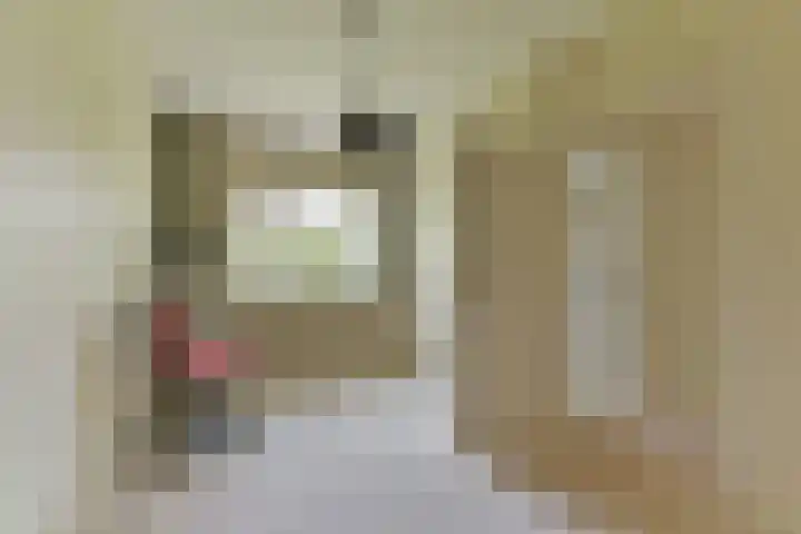 Steniahof 121 Zeist thumbnail 21