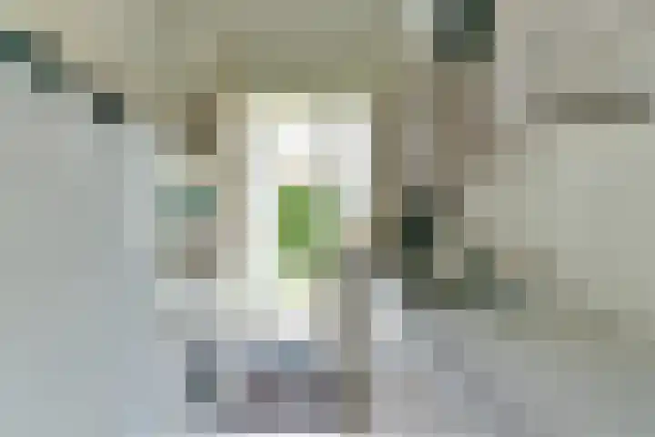 Steniahof 121 Zeist thumbnail 24