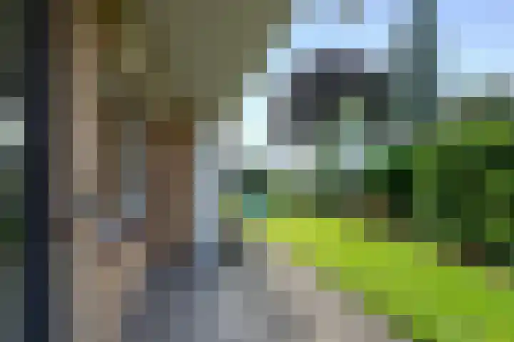 Steniahof 121 Zeist thumbnail 25