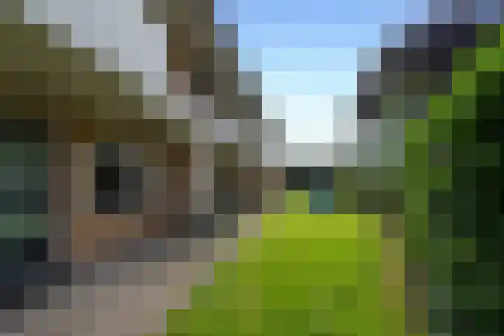 Steniahof 121 Zeist thumbnail 26