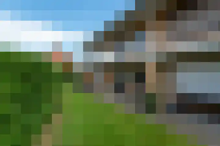 Steniahof 121 Zeist thumbnail 27