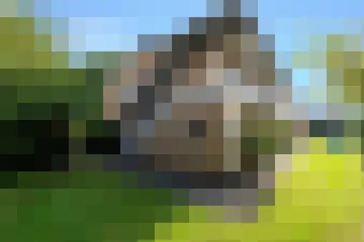 Steniahof 121 Zeist thumbnail 28
