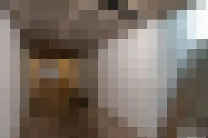 Steniahof 121 Zeist thumbnail 29