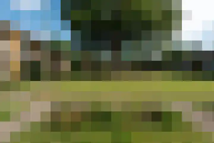 Steniahof 121 Zeist thumbnail 33