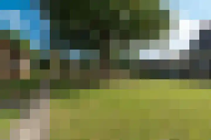 Steniahof 121 Zeist thumbnail 34