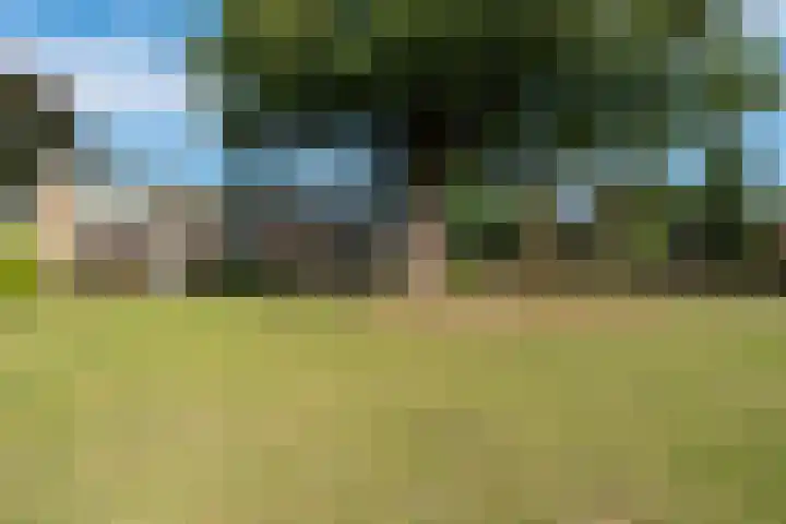 Steniahof 121 Zeist thumbnail 35