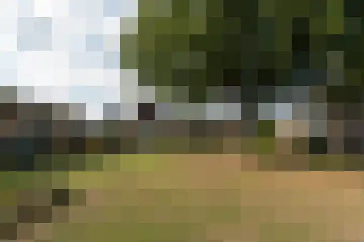 Steniahof 121 Zeist thumbnail 36