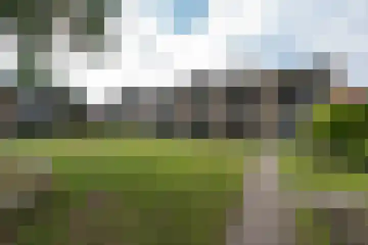 Steniahof 121 Zeist thumbnail 38