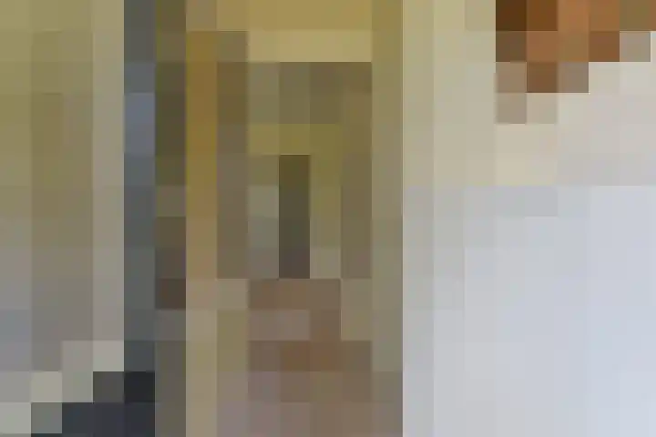 Steniahof 121 Zeist thumbnail 5